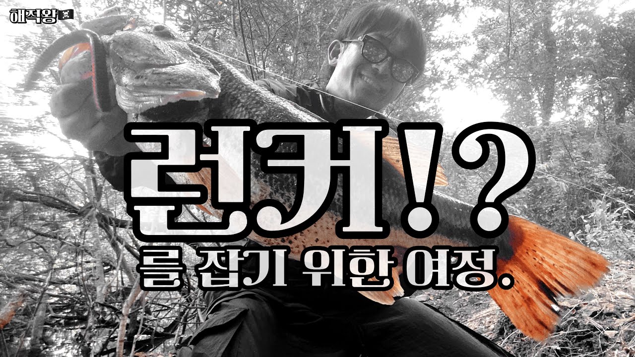 런커(50cm 이상의 배스)를 잡기 위한 여정.(도전 11트,포기 7트)일반인,초보자,입문자 환영!(4K VIDEO HDR)