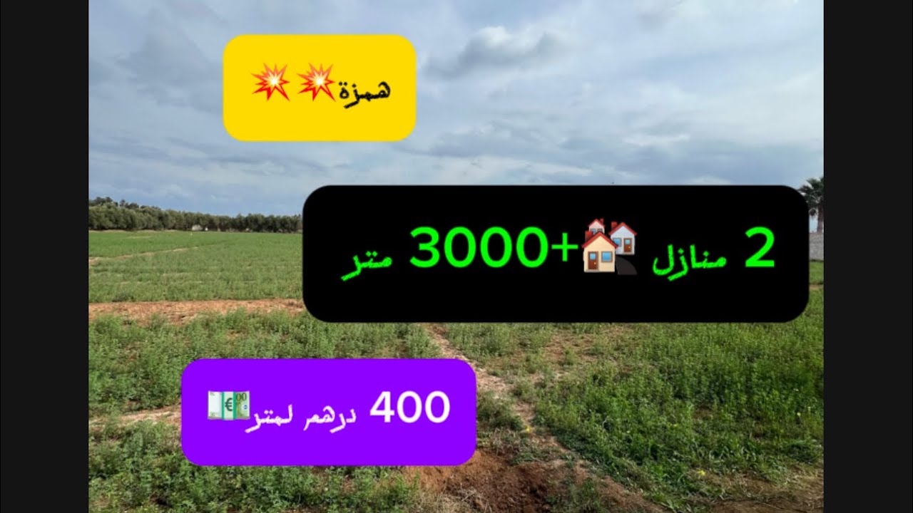 همزة💥2 منازل 🏘️ +3200 متر ارض🗺️محفظة✅5 دقايق 📍قريةً اركمان#منزل #maison #nador #nadorcity #europe