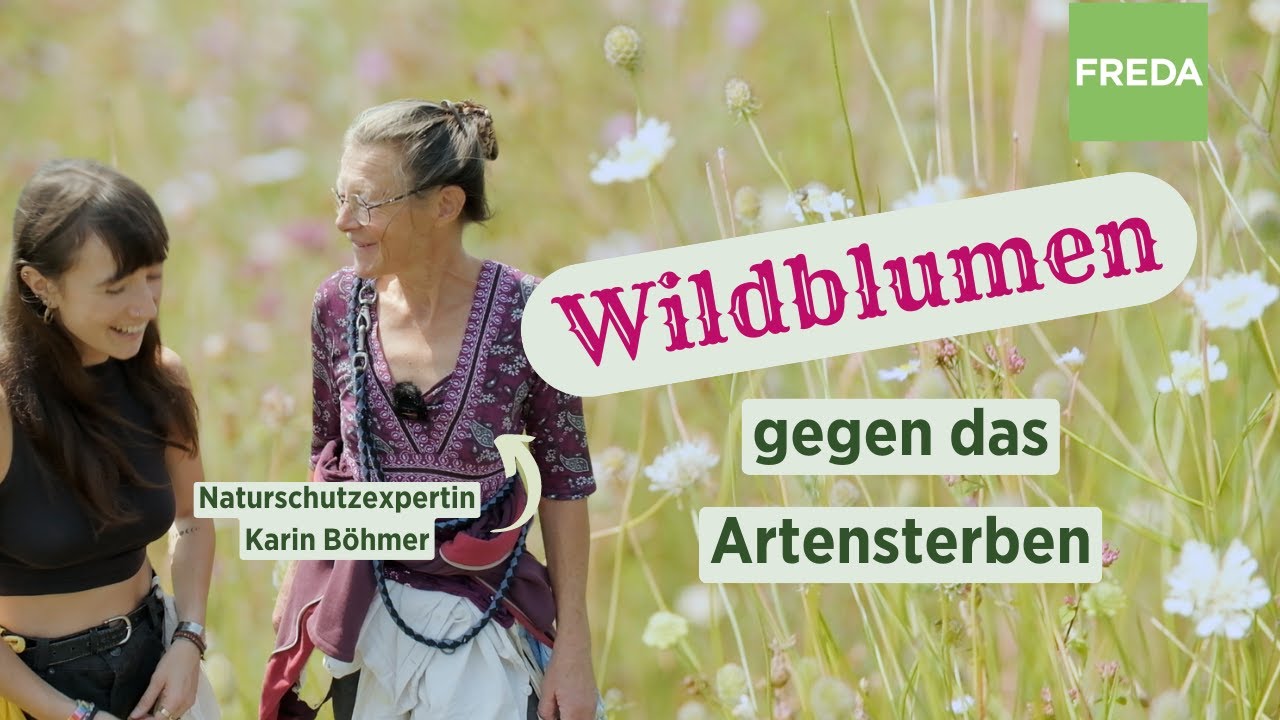 Mit Wildblumen gegen das Artensterben