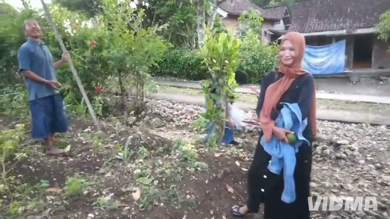 Rumah Adat suku Jawa tahun 1970an Desa Purworejo Blitar @JalanHidup-f3j 