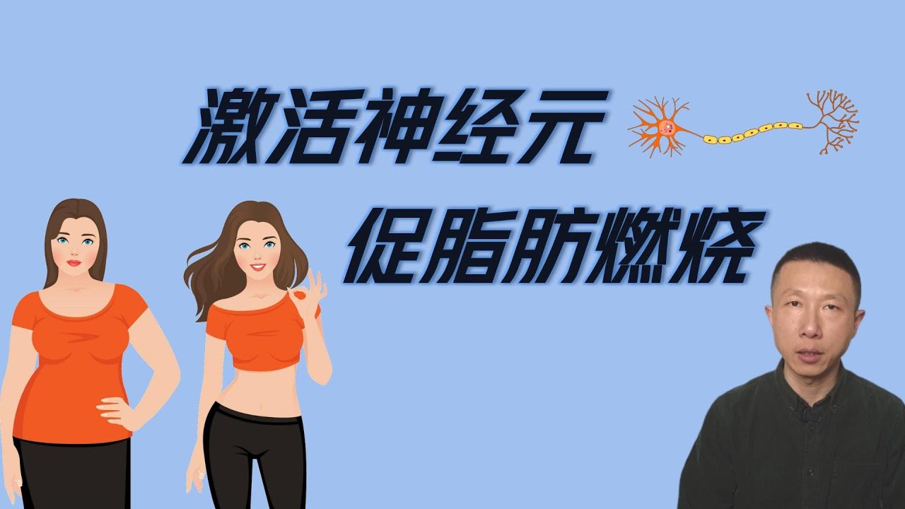 通过激活神经元来提高脂肪燃烧能力