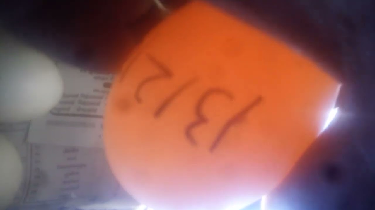 February 18, 2026