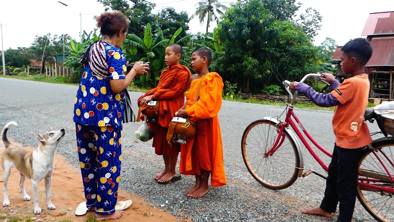 Grandma Offer Budish Monk Food  in Early Morning On Specials Day / Daily Activities Of Farmer Life