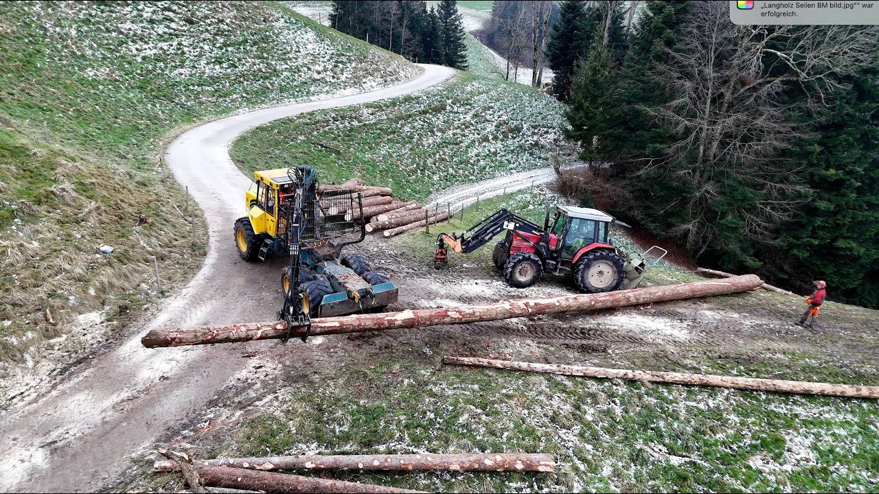 Langholz seilen mit Kombischlepper und Seilwinde 🇨🇭🪓🌲