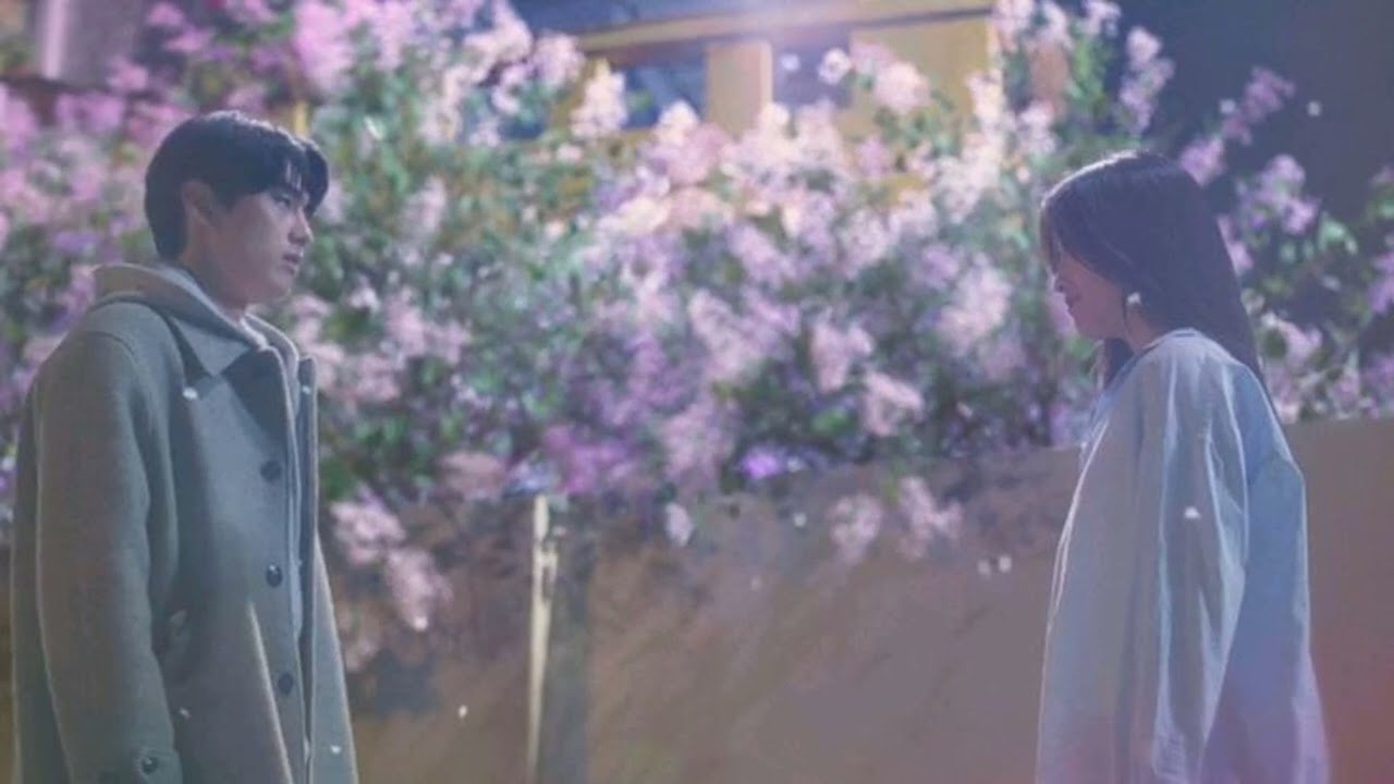 《花影下的凝望》 | 1 Hour Sad Chinese Songs (Whispers Under the Night Blooms)