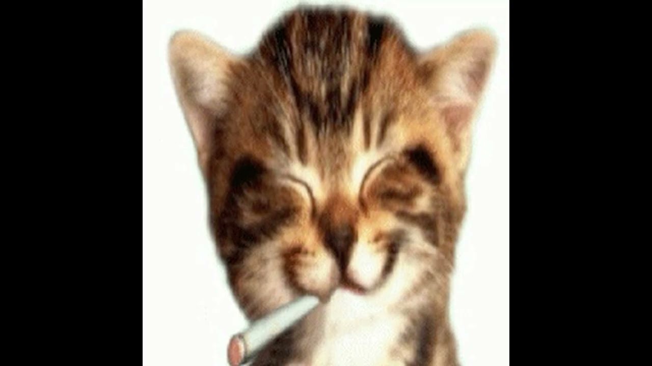 *free* rexv2 + slayr + waera type beat - 