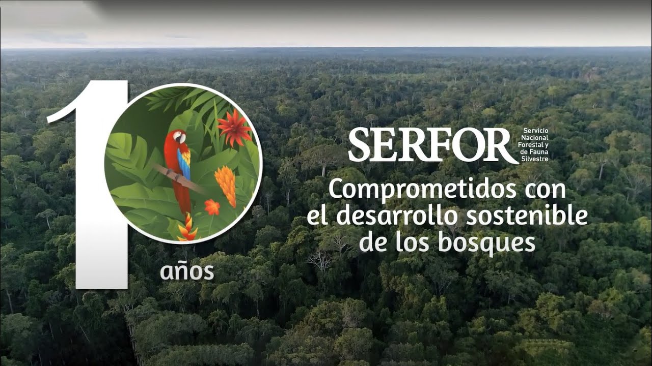 🌳🇵🇪 SERFOR cumple 10 años comprometido con el desarrollo sostenible de los bosques.