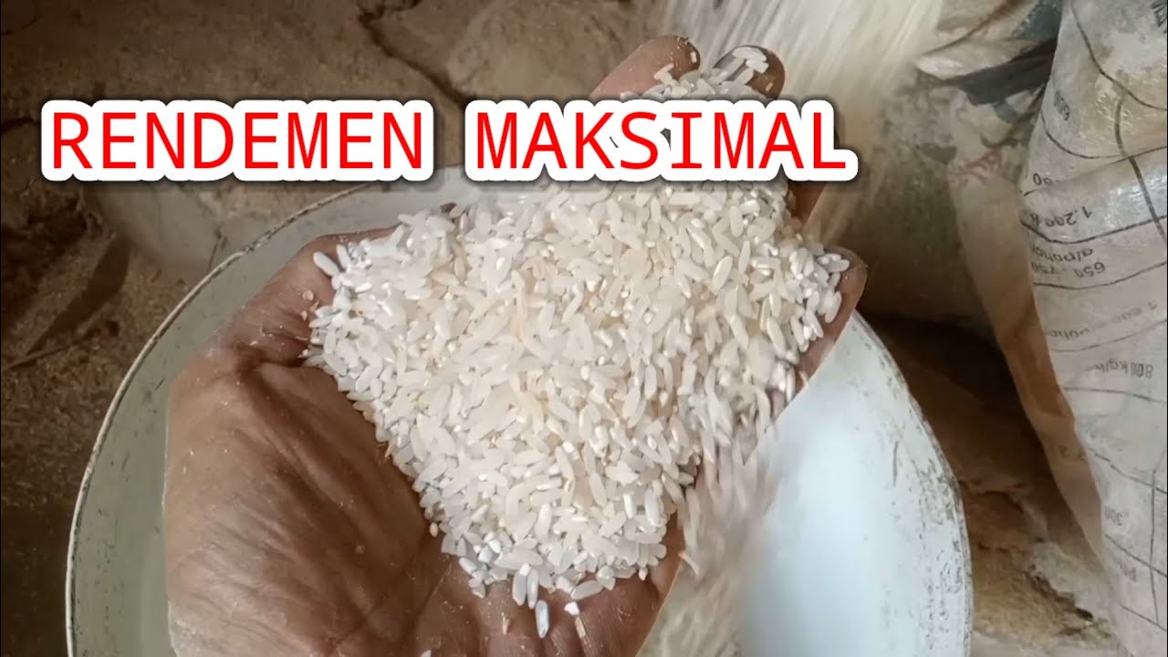 Menjaga Rendemen Giling Padi Agar Hasil Maksimal