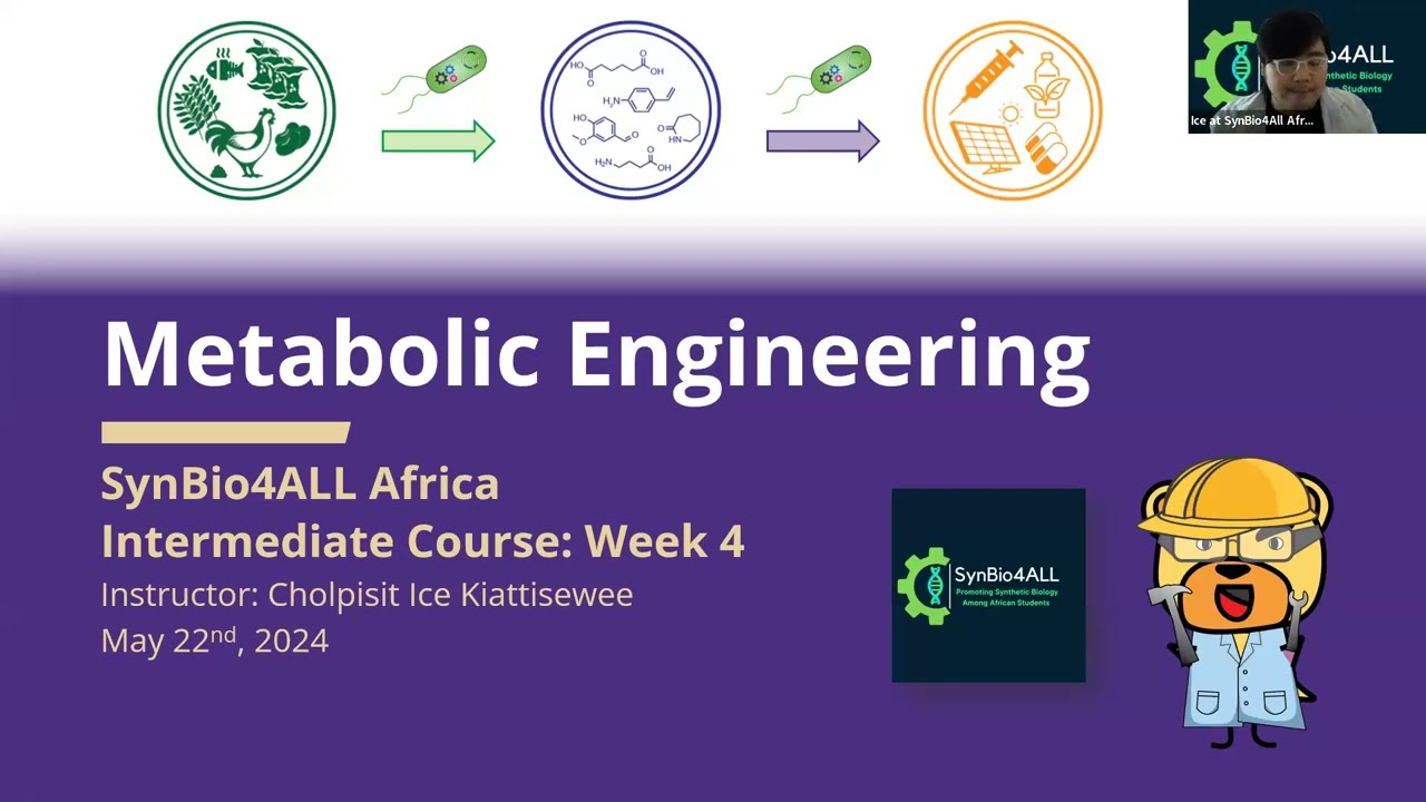 SynBio4ALL Intermediate Course | Week 4 &ndash; Metabolic Engineering
