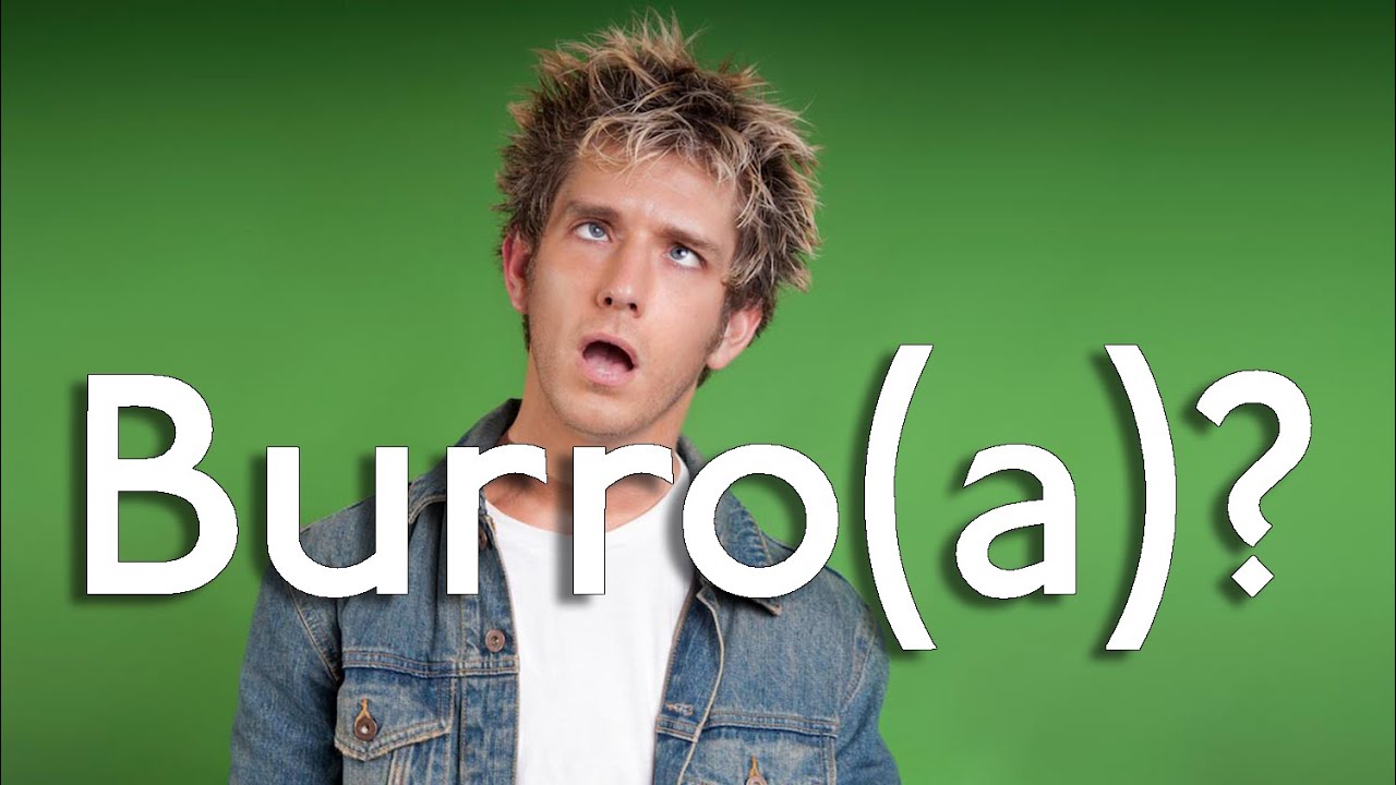 Quão Burro(a) Você é De Verdade? (Teste do Idiota)