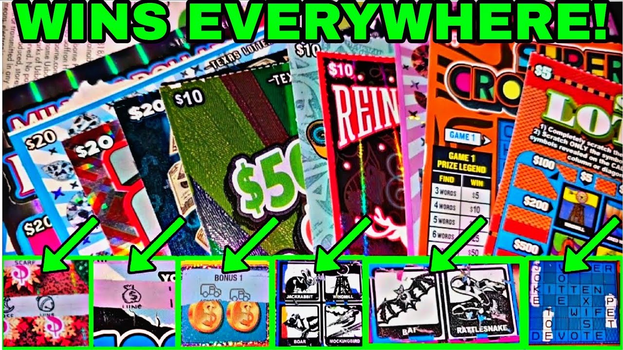 WINS EVERYWHERE! 