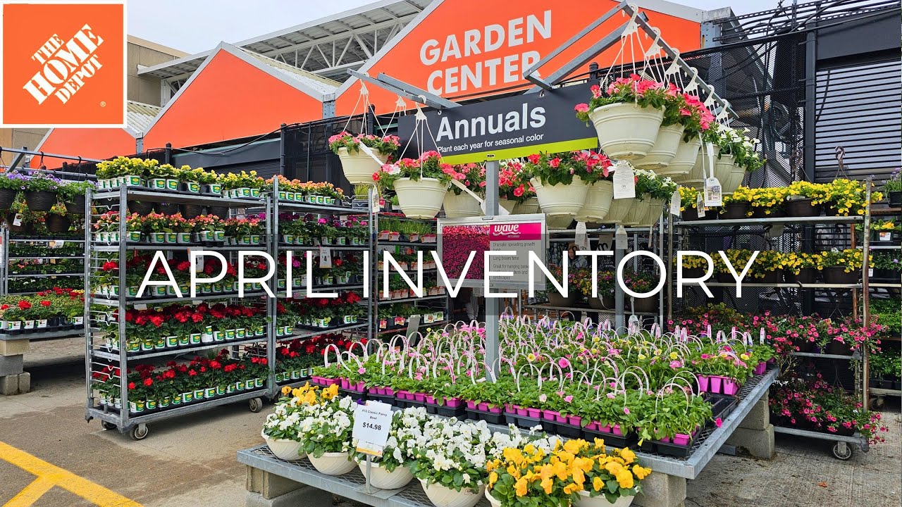 NEW ARRIVALS Home Depot Garden Center, SO GOOD! Inventory April 2025 Perennials, Shrubs,  Evergreens