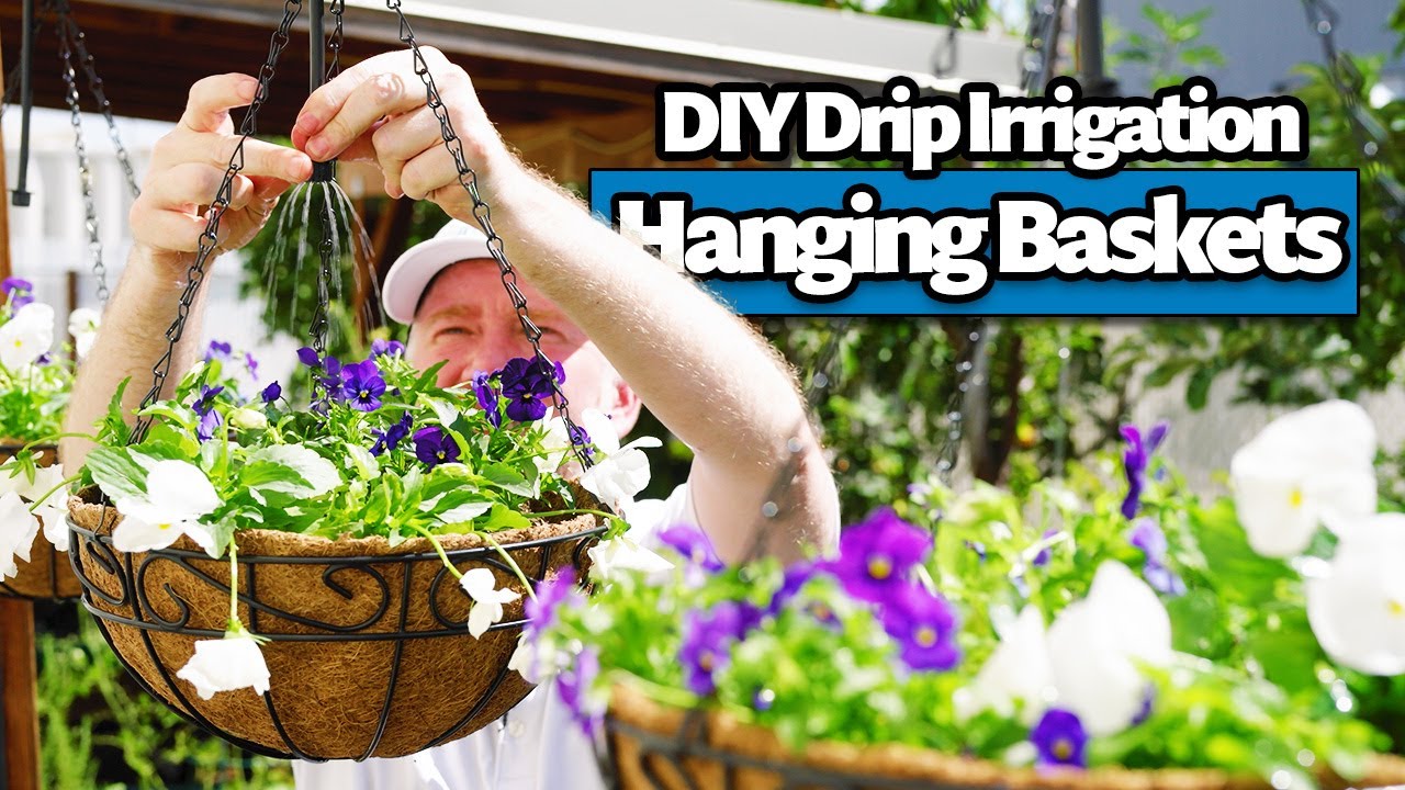 How to Install a Hanging Basket Drip Irrigation System (DIY Beginner's Guide)