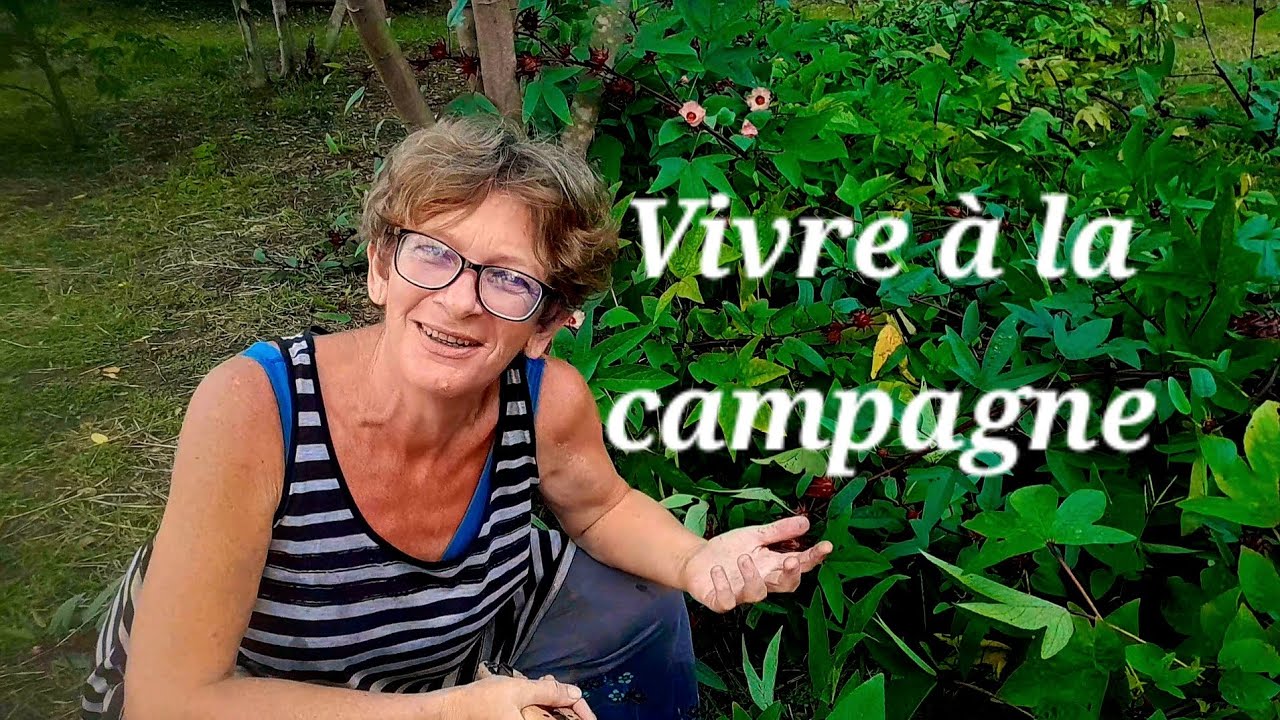 Vivre en campagne thaïlandaise