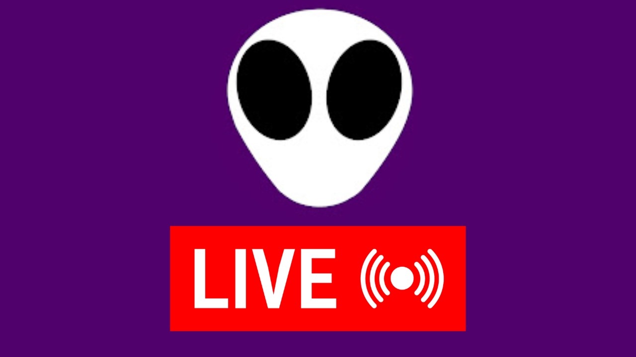 PAYING MY DEPT HOLLOW KNIGHT SUB Bait