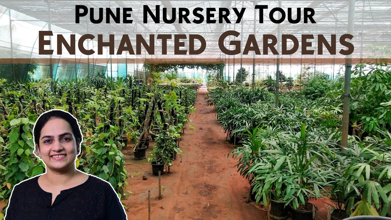 Pune Nursery Tour - Enchanted Gardens (With Prices) | Indoor plants | Succulents | Outdoor Plants