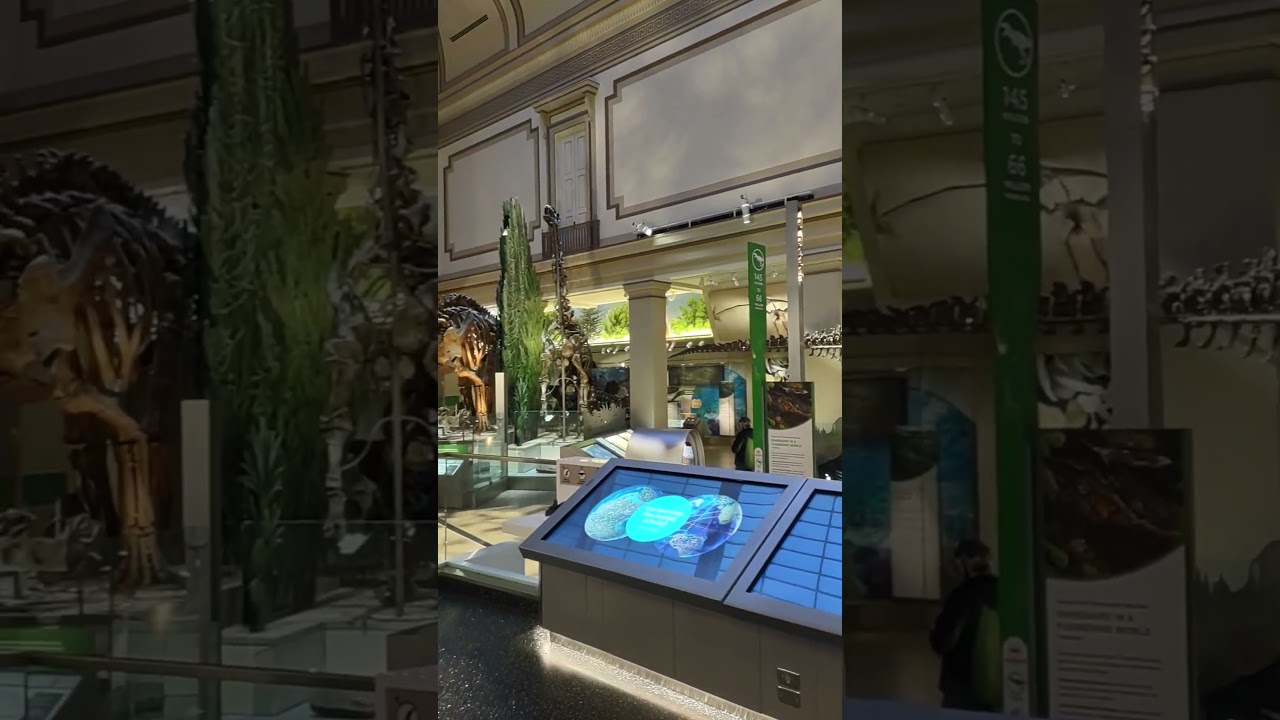 part 4 Museum of Natural History