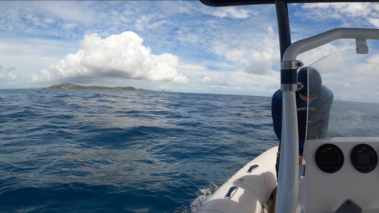 Spearfishing Moreton Island Reefs