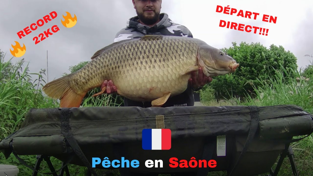 PÊCHE DE LA CARPE EN RIVIÈRE / RECORD 22KG / DÉPART EN DIRECT / SAÔNE / 4K