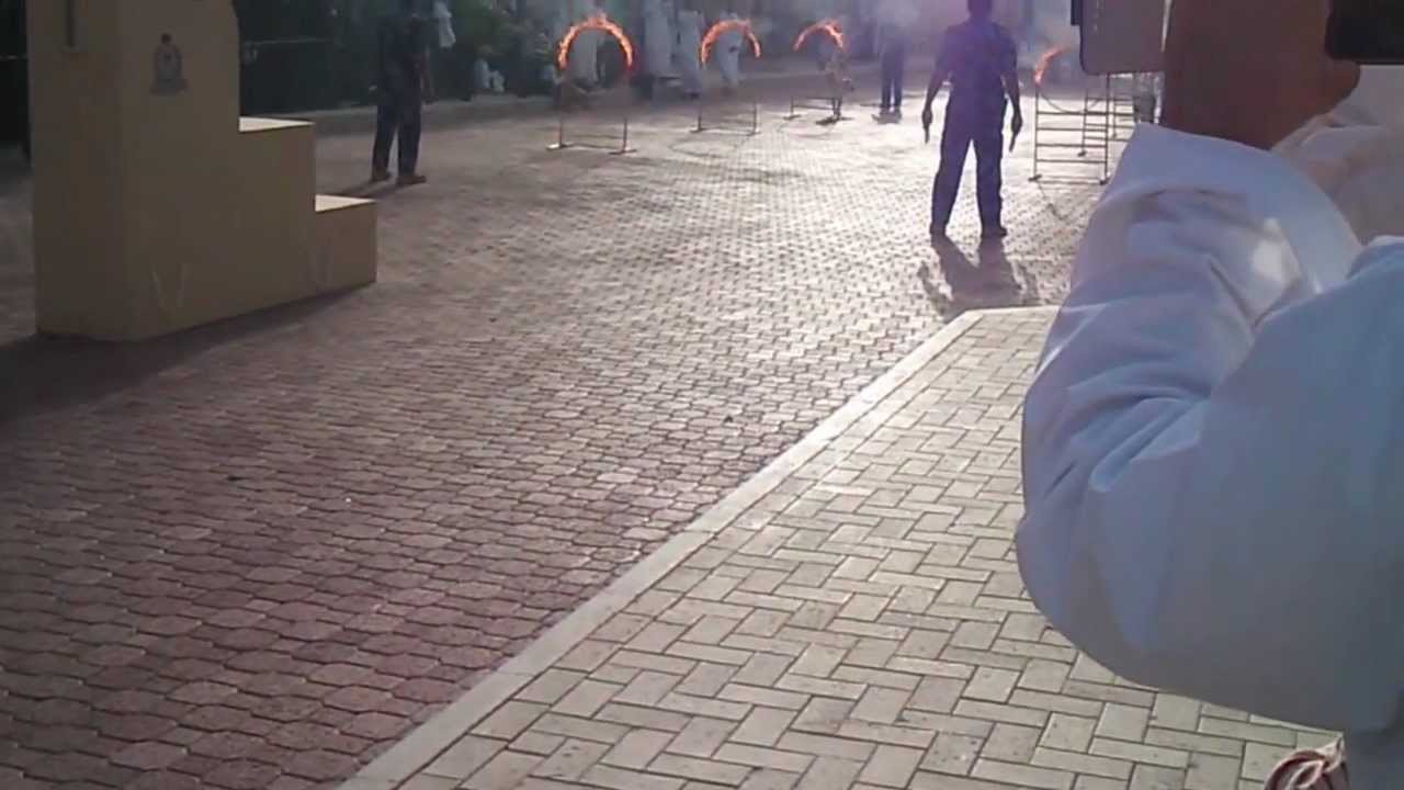 عرض الكلاب البوليسية ف SQU   Show police dogs