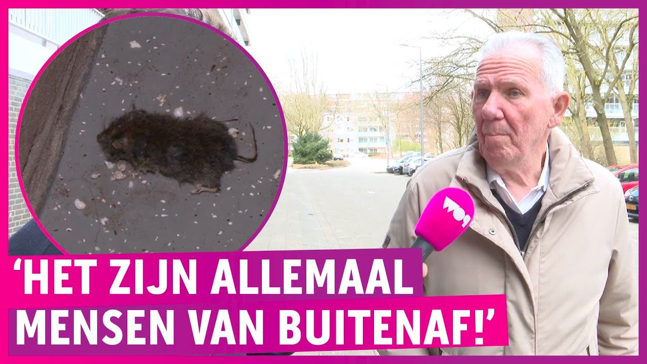 ZIEN: Exclusieve rondleiding door de goorste flat van Rotterdam!