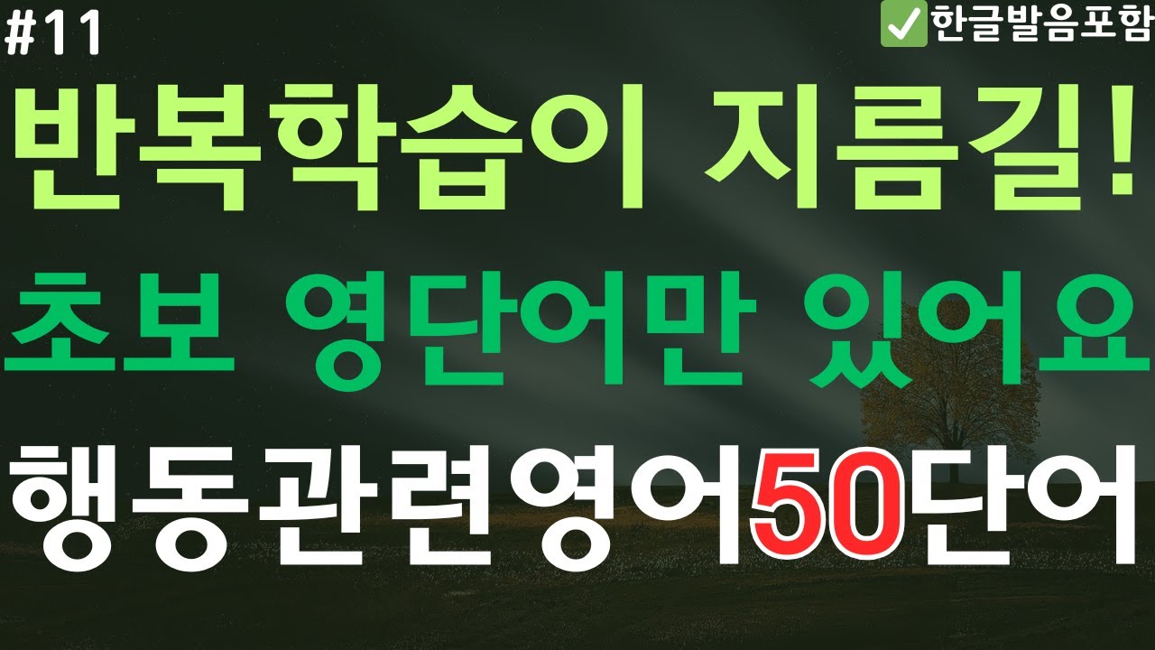 행동 관련 영어단어 50개 | 반복학습이 지름길! | 초보 영단어만 있어요 | 쉬운영어 | 기초 영단어 | 오디오북 | 반복재생 | (한글발음 포함)