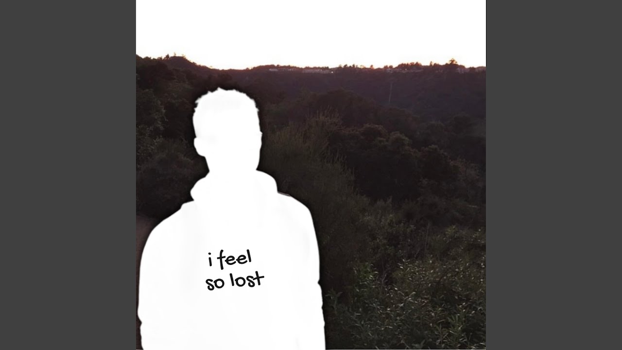I Feel So Lost