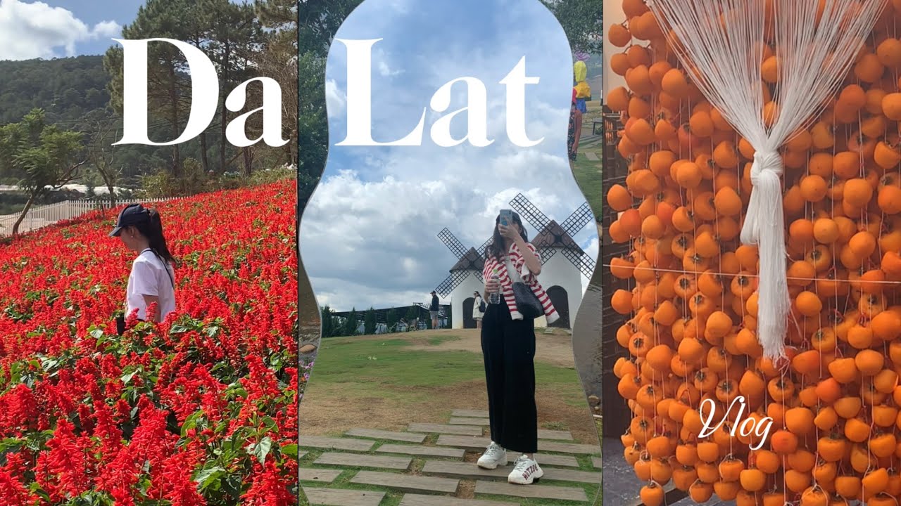 Vietnam series, Da Lat edition: land of flowers 🌸 and fruits 🍓