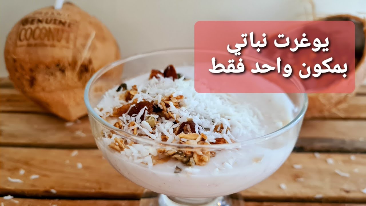 يوغرت نباتي بجوز الهند بمكون واحد فقط بدون حليب حيواني و بدون آلة لليوغرت