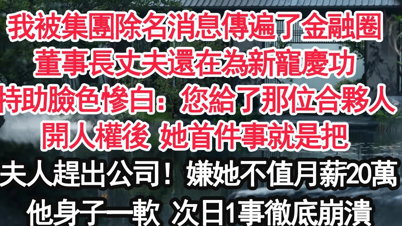 我被集團除名消息傳遍了金融圈董事長丈夫還在為新寵慶功特助臉色慘白：您給了那位合夥人開人權後 她首件事就是把夫人趕出公司！嫌她不值月薪20萬他身子一軟 次日1事徹底崩潰【顧亞男】【大女主】【婚姻自主】