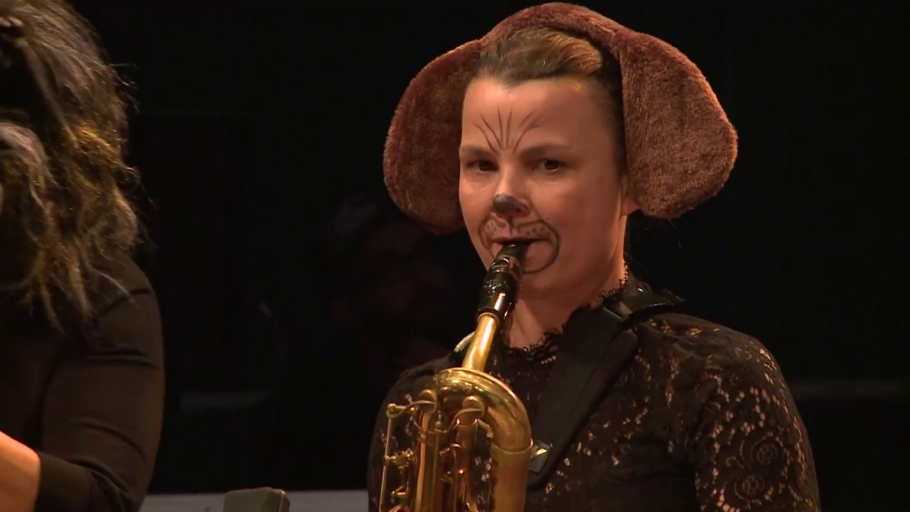 JazzBaltica 2017: Die Bremer Stadtmusikanten
