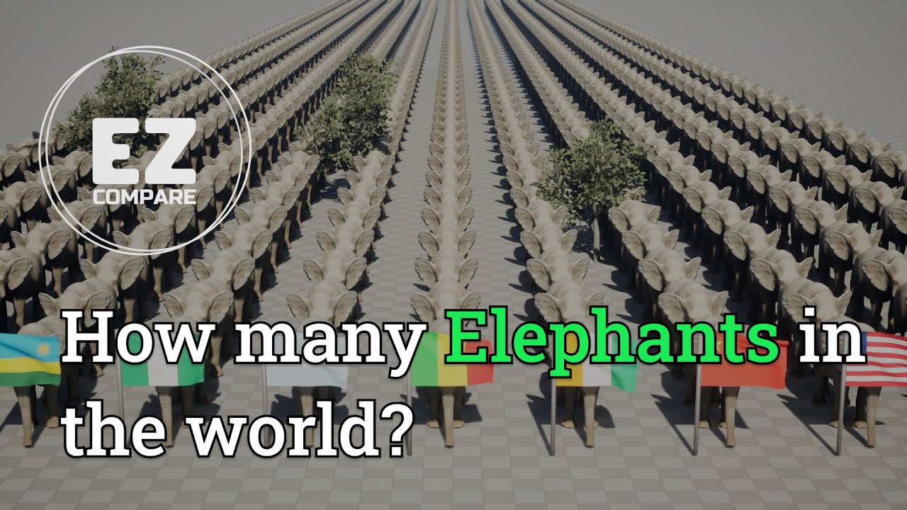 World elephants population by country 2024