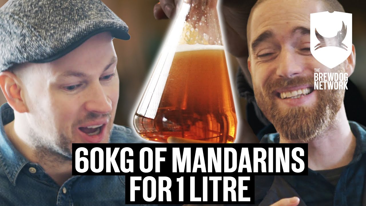 Reacting to Super Concentrated Flavours | Brew Dogs