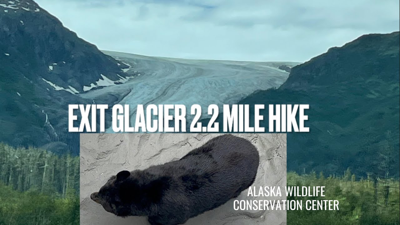 EXIT GLACIER 2.2 MILE HIKE ||ALASKA WILDLIFE CONSERVATION  CENTER Seward AK trip 2022 