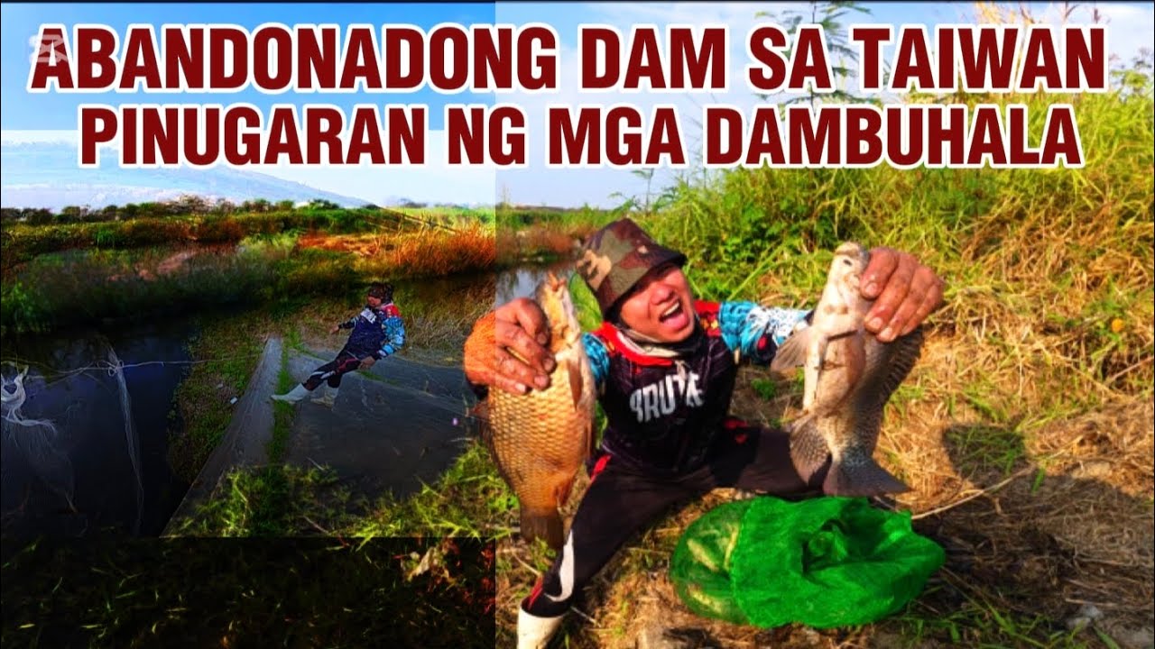 Abandonadong DAM sa TAIWAN pinamugaran ng mga dambuhalang isda😱 || KELOGS TV 
