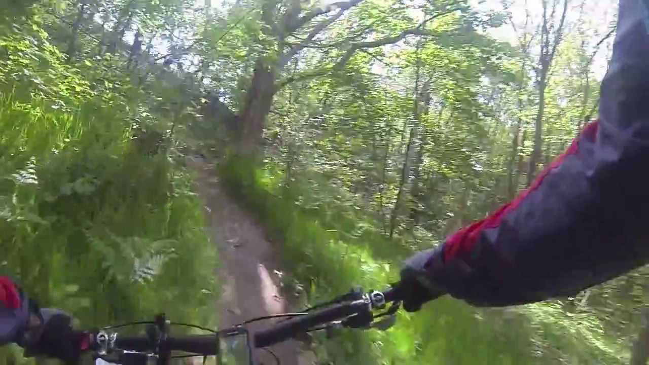 Rando VTT dans la forêt de Marly le Roi