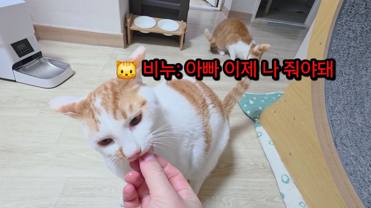 간식은 정말 좋아!!