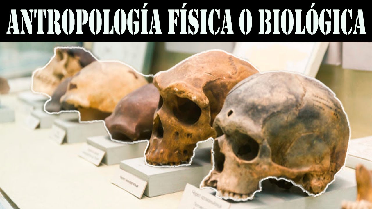 Antropología física biológica
