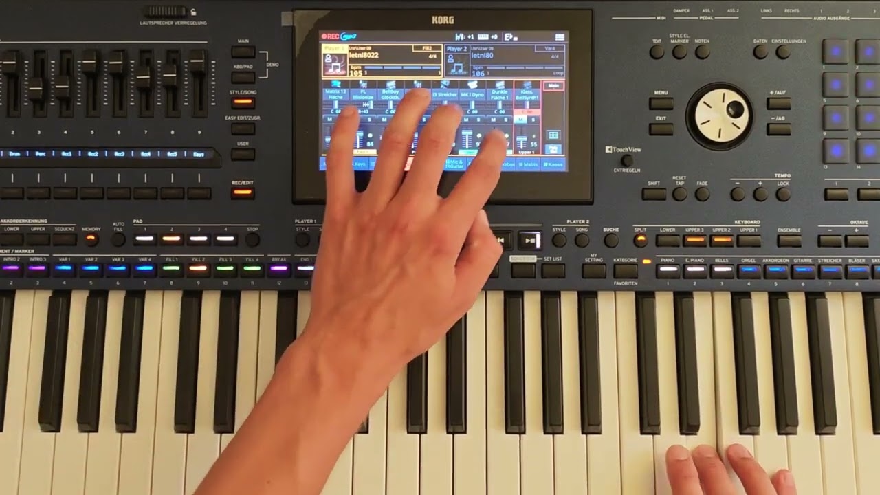 Let the Soul carry ( Korg Euro Disco  Style & danekoo1 ) Instrumental Music