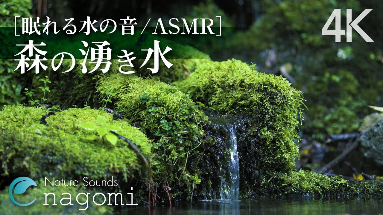 【水の音/ASMR】やさしい湧き水の音｜水の音・睡眠BGM｜ヒーリング自然音・Water Sounds