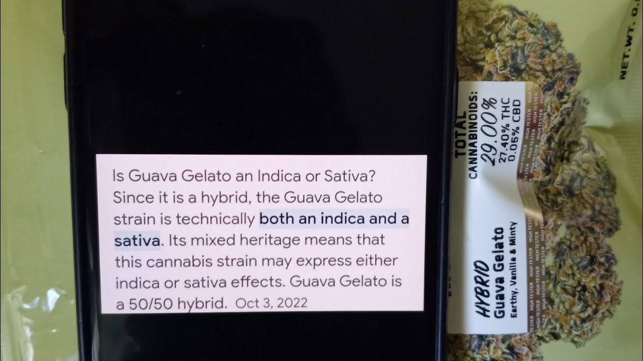 Dime bag guava Gelato strain review