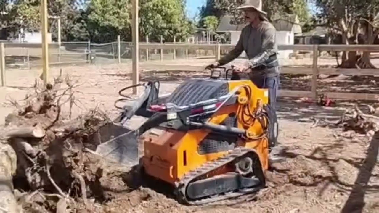 #viralvideo #bobcat #sacando #una #raiz 