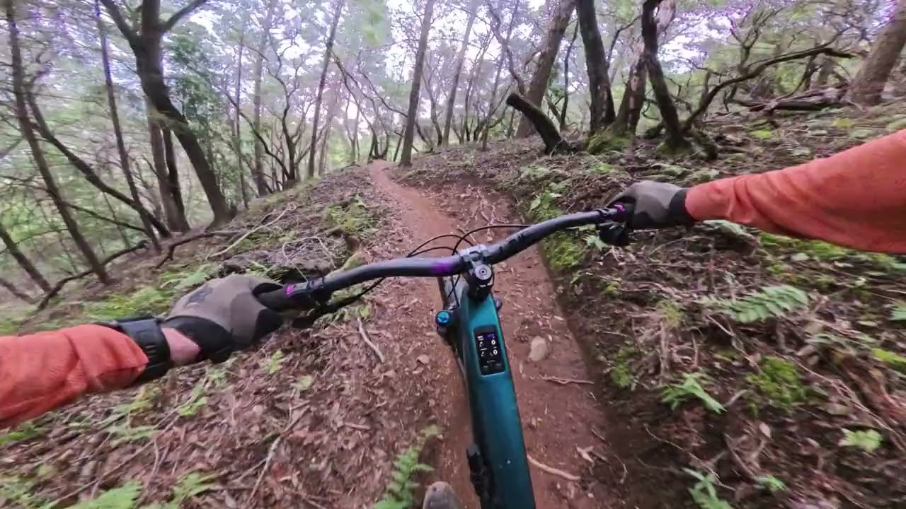 Hobo with the new lens! | Marin MTB