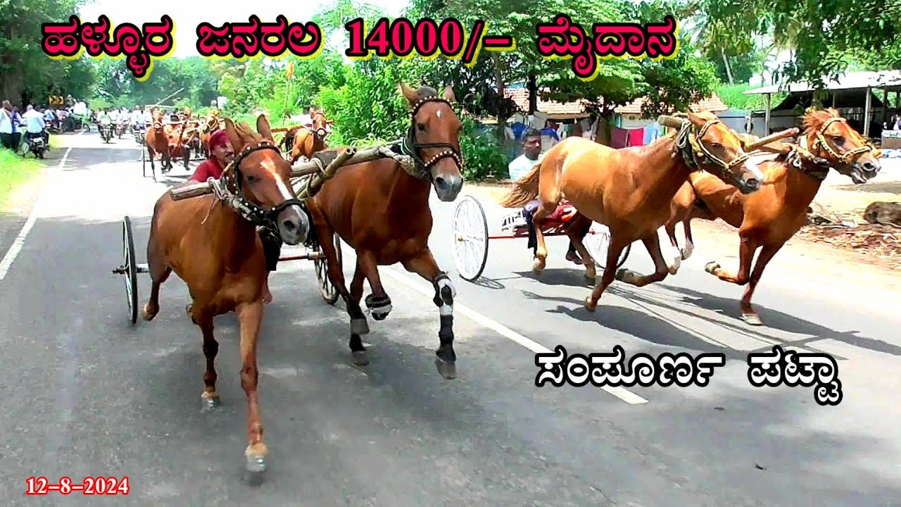 [ಮೂಡಲಗಿ]ಹಳ್ಳೂರ ಜನರಲ 14000/-ಮೈದಾನ|🥇ಗೋಕಾಕ 888-ಕೃಷ್ಣಾ🥈ಕೊಣ್ಣೂರ ಗೀತಾ🥉ಕೊಣ್ಣೂರು ಬಟ್ಲರ-ಹಠವಾದಿ date12/8/24