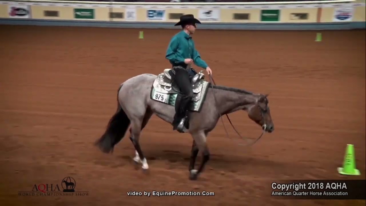VS FLATLINE - 2010 AQHA Stallion & Leading Sire