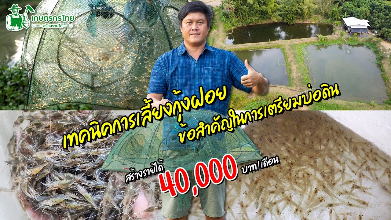 เทคนิคการเลี้ยงกุ้งฝอย และการเตรียมบ่อดิน สร้างรายได้สูงสุด 40,000 บาท/รอบ l ชมสวนเกษตรกรไทย Ep294