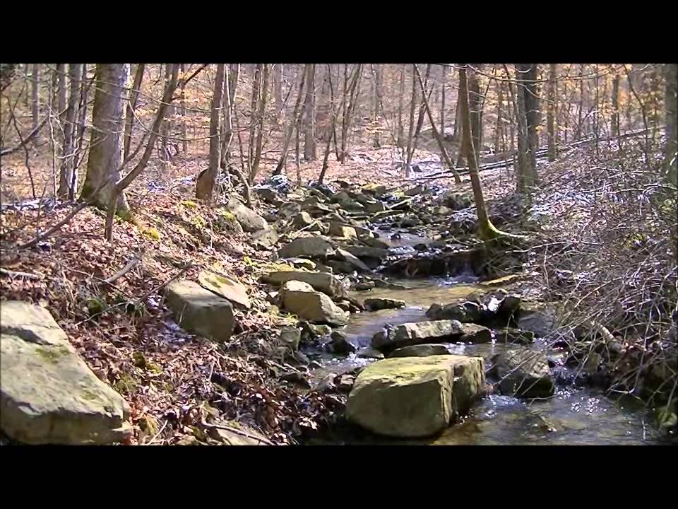 Birdseye Trail - Southern Loop