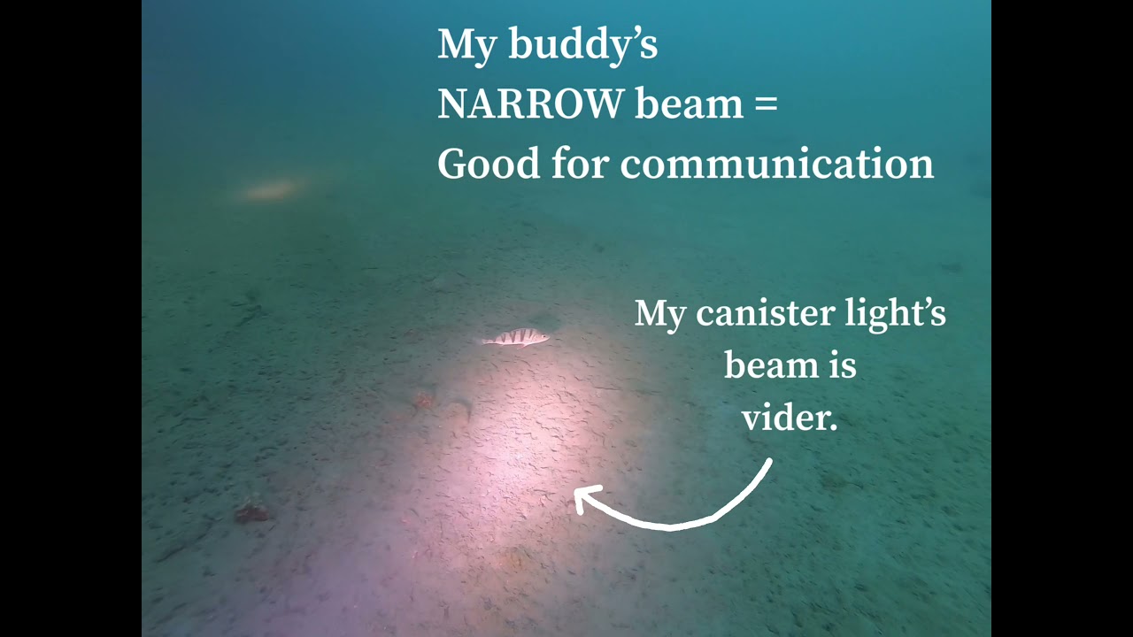 Test 4000 lumens Shark Sirius primary light underwater