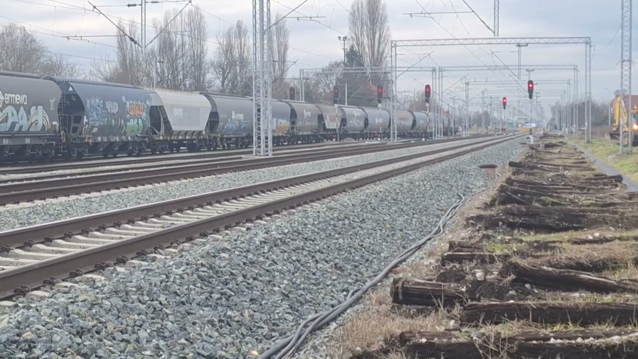 Trans Cargo 2496 - ASEA 1 141 017 HŽ CARGO + cereales vagoni ulaze u Zagreb Zapadni Teretni.HR/CRO