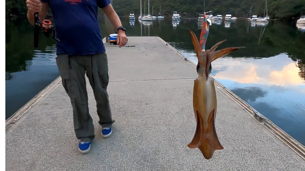 How to catch squid - Apple Tree Bay - BBA EP2